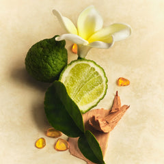 Skin Perfecting Body Lotion O0